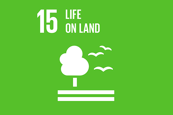 15 - Life on Land