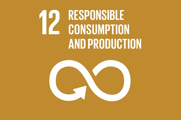 12 - Responsible Consumption & Production