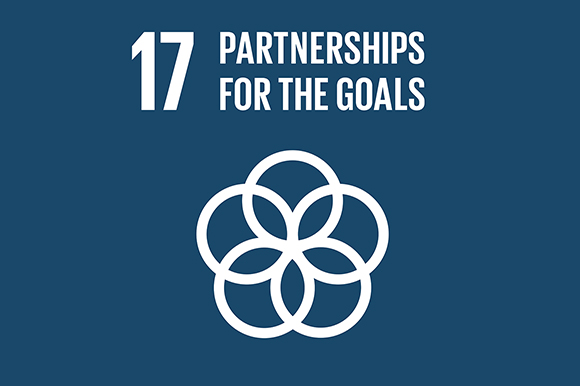 17 - Partnership For The Goals