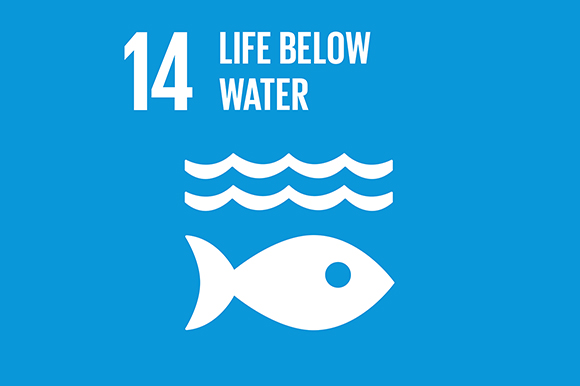 14 - Life Below Water