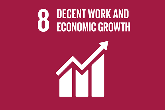8 - Decent Work & Economic Growth