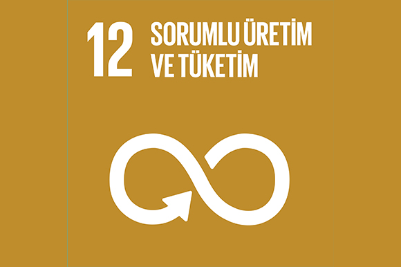 12 - Sorumlu Üretim ve Tüketim