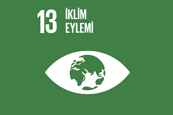 13 - İklim Eylemi