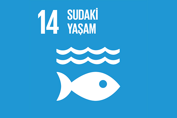 14 - Sudaki Yaşam