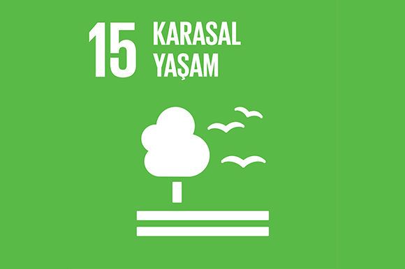 15 - Karasal Yaşam Alanı