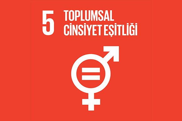 5 - Toplumsal Cinsiyet Eşitliği