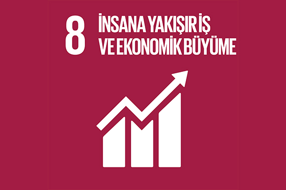 8 - İnsana Yakışır İş ve Ekonomik Büyüme