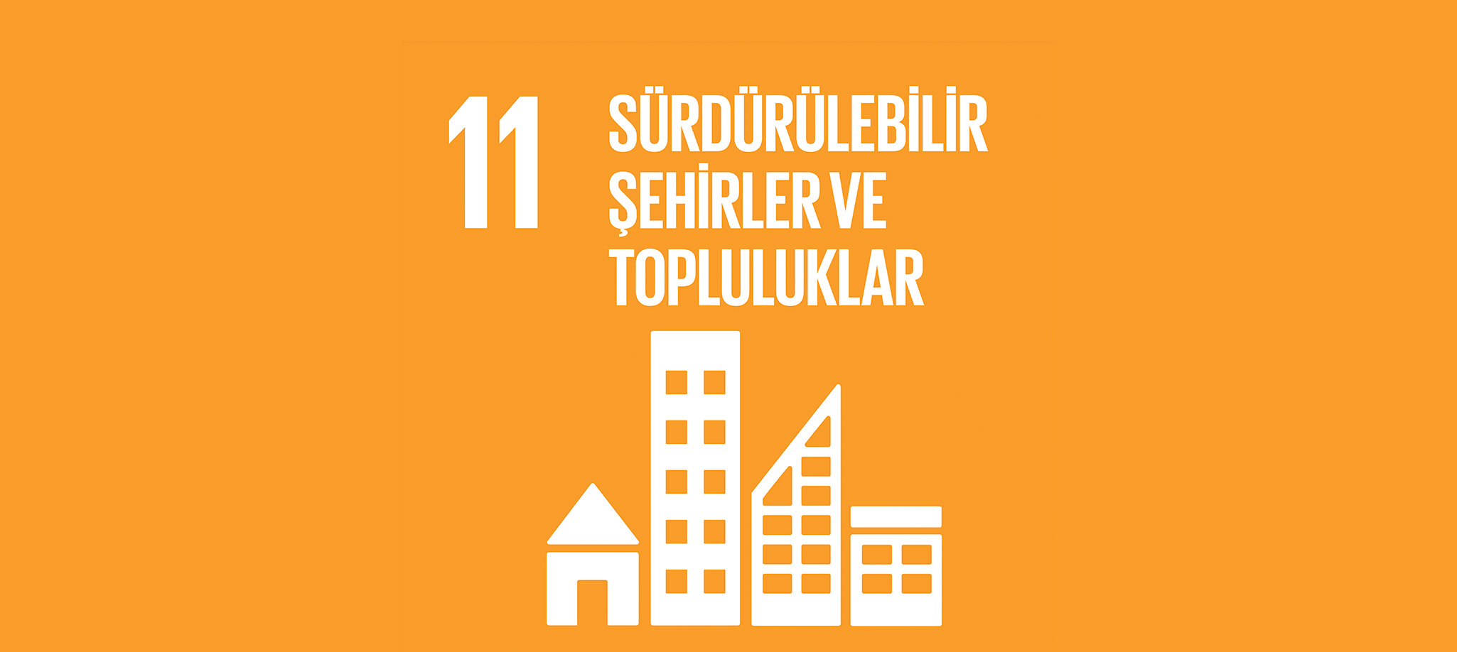 Sürdürülebilir Şehirler ve Topluluklar