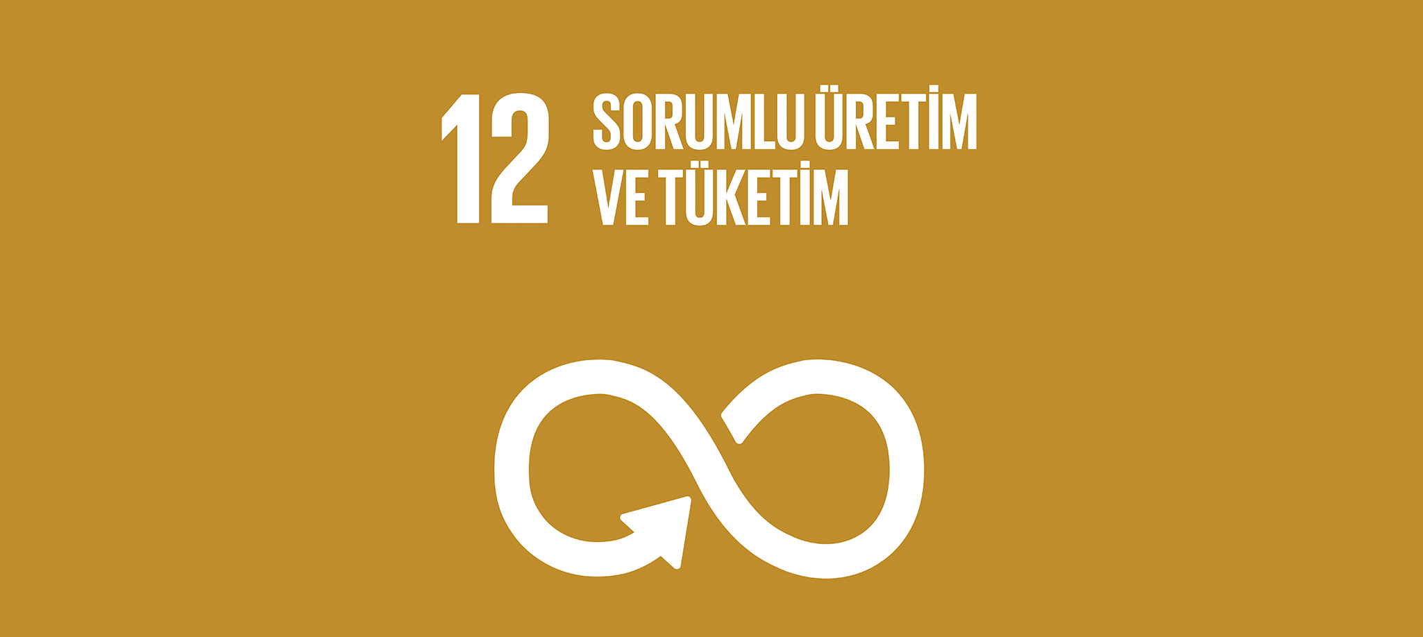 Sorumlu Üretim ve Tüketim
