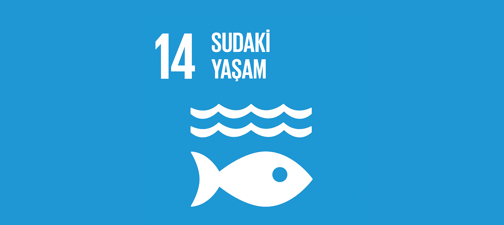 Sudaki Yaşam