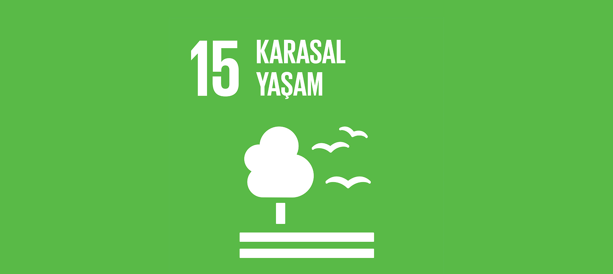 Karasal Yaşam Alanı