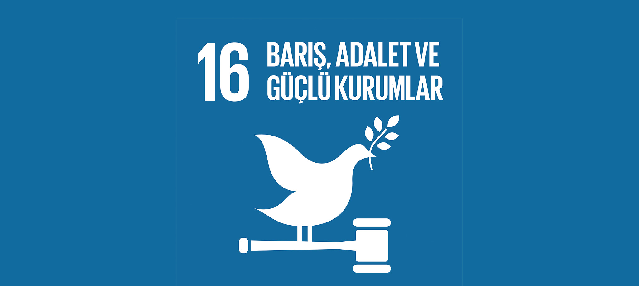 Barış, Adalet ve Güçlü Kurumlar
