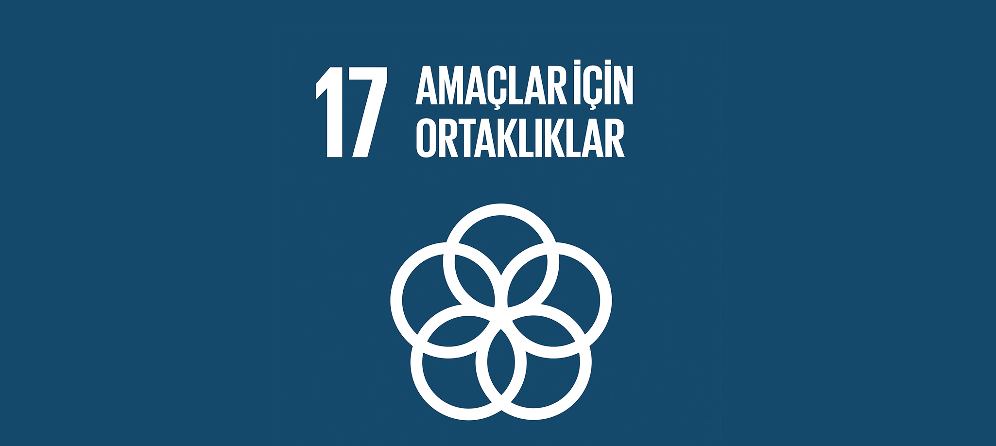 Amaç İçin Ortaklıklar