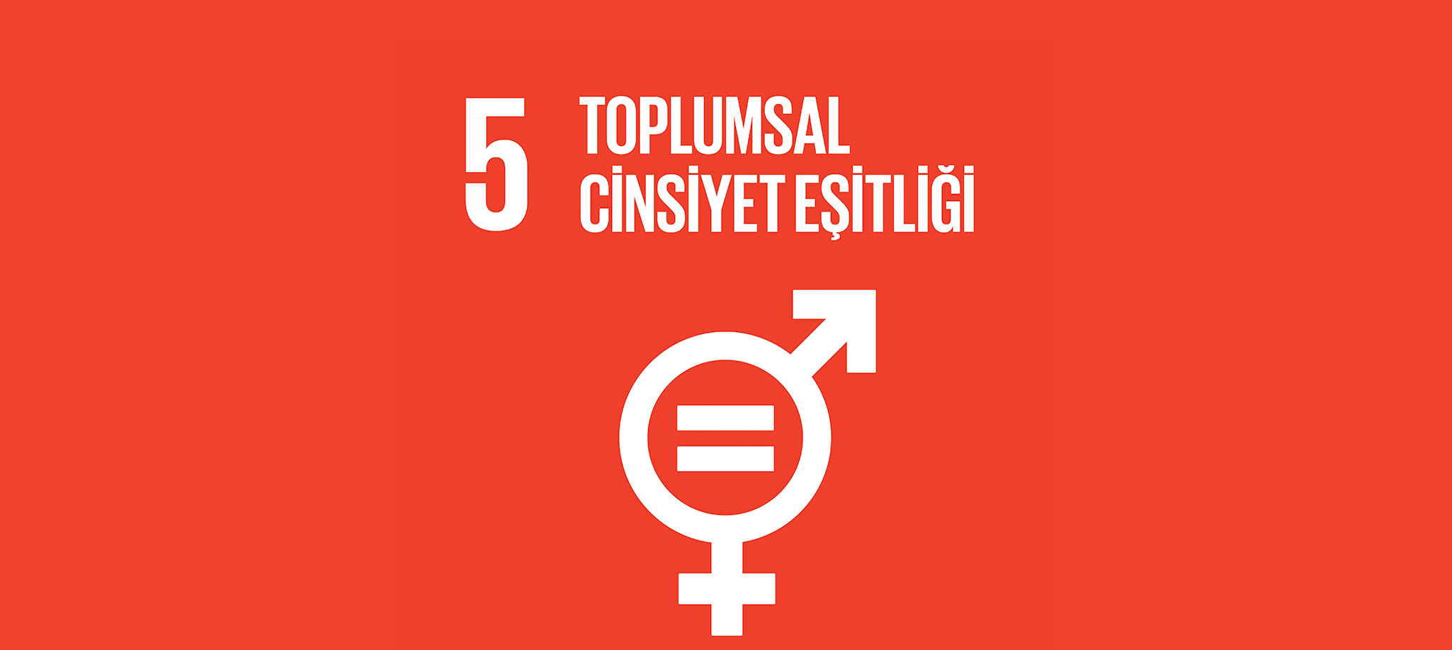 Toplumsal Cinsiyet Eşitliği