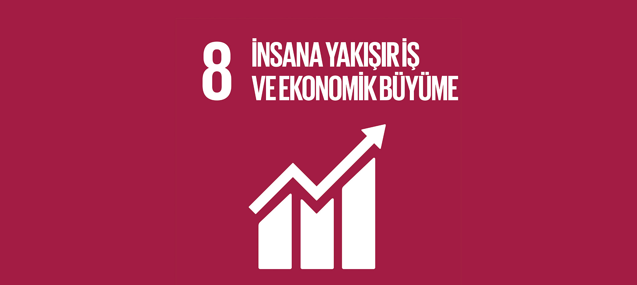 İnsana Yakışır İş ve Ekonomik Büyüme