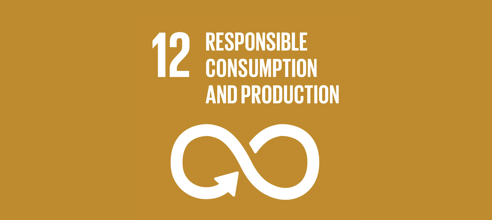Responsible Consumption & Production