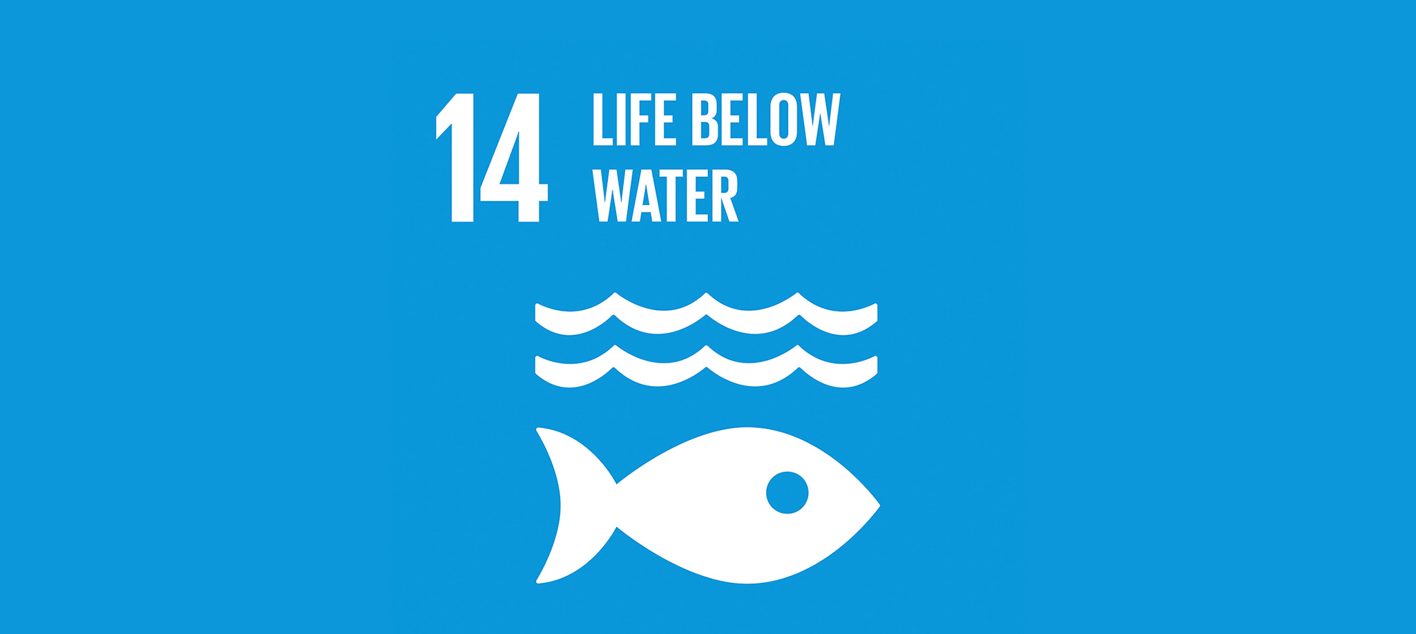 Life Below Water