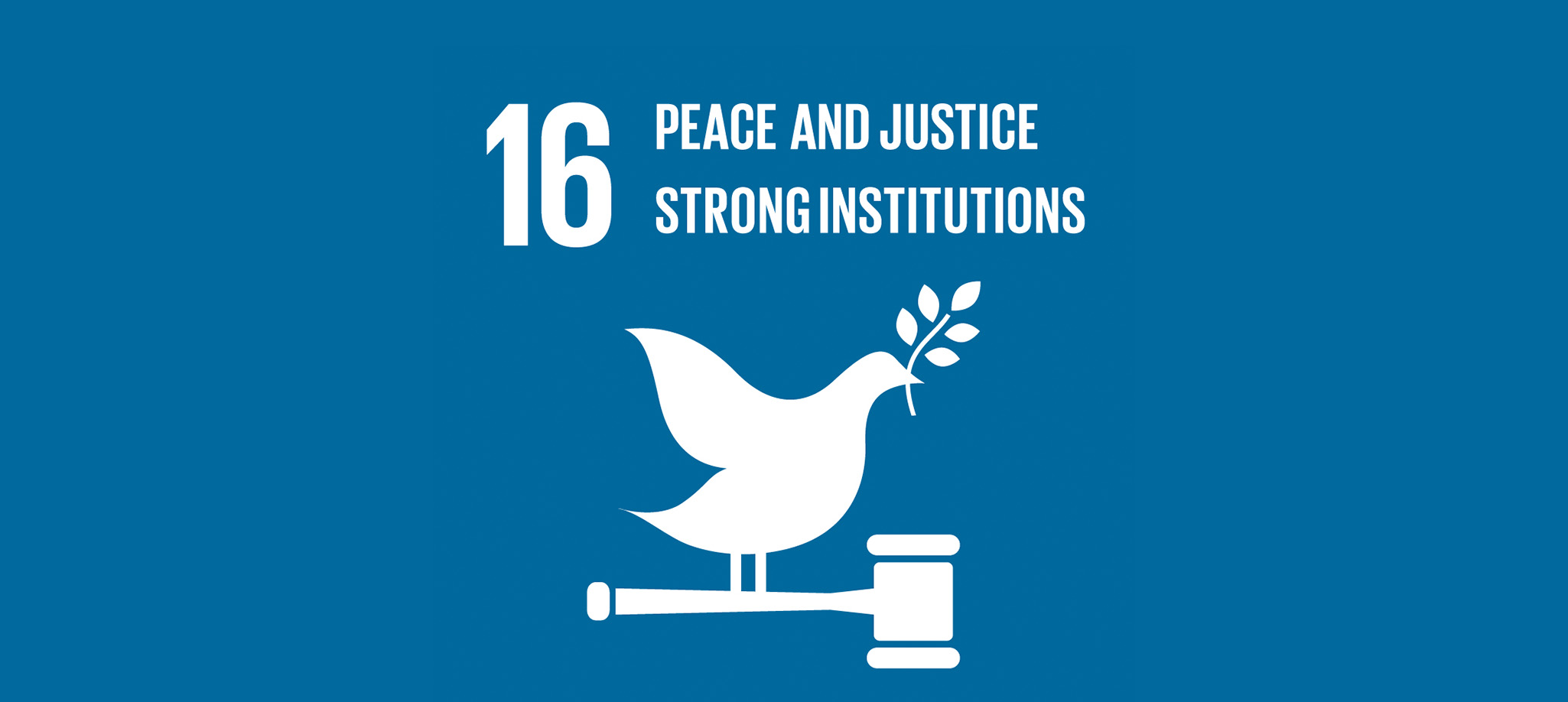 Peace, Justice and Strong Institutions