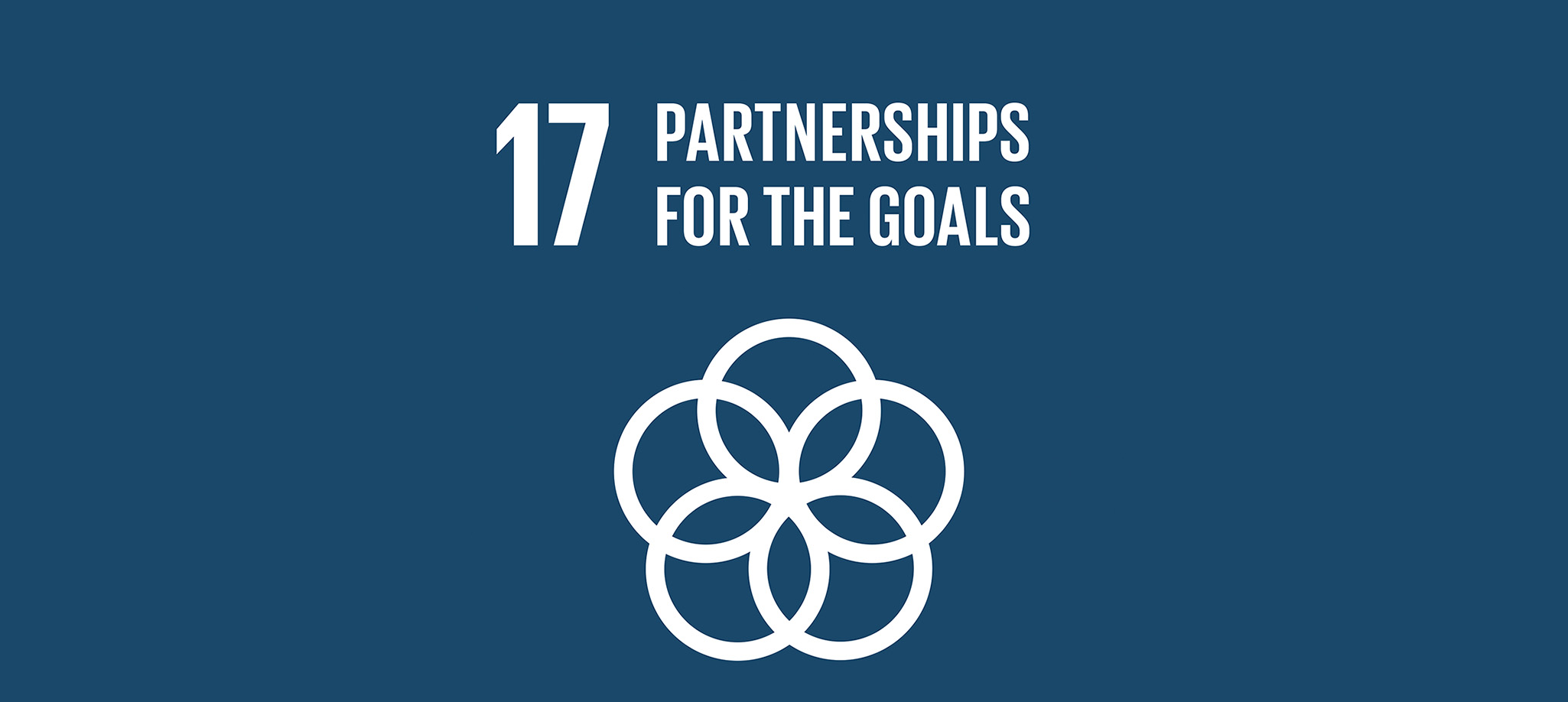 Partnership For The Goals